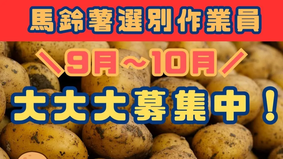 馬鈴薯選別作業員/9月～10月