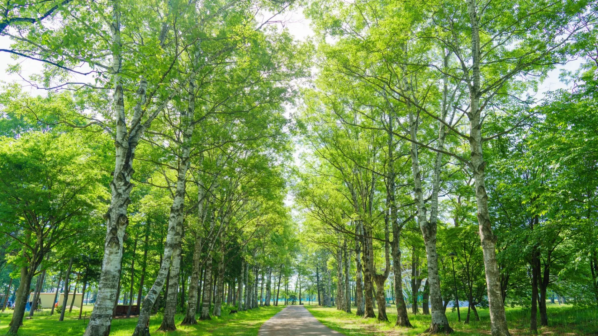 北海道の人口減少率！2050年に帯広は21.8％減、釧路は40％減