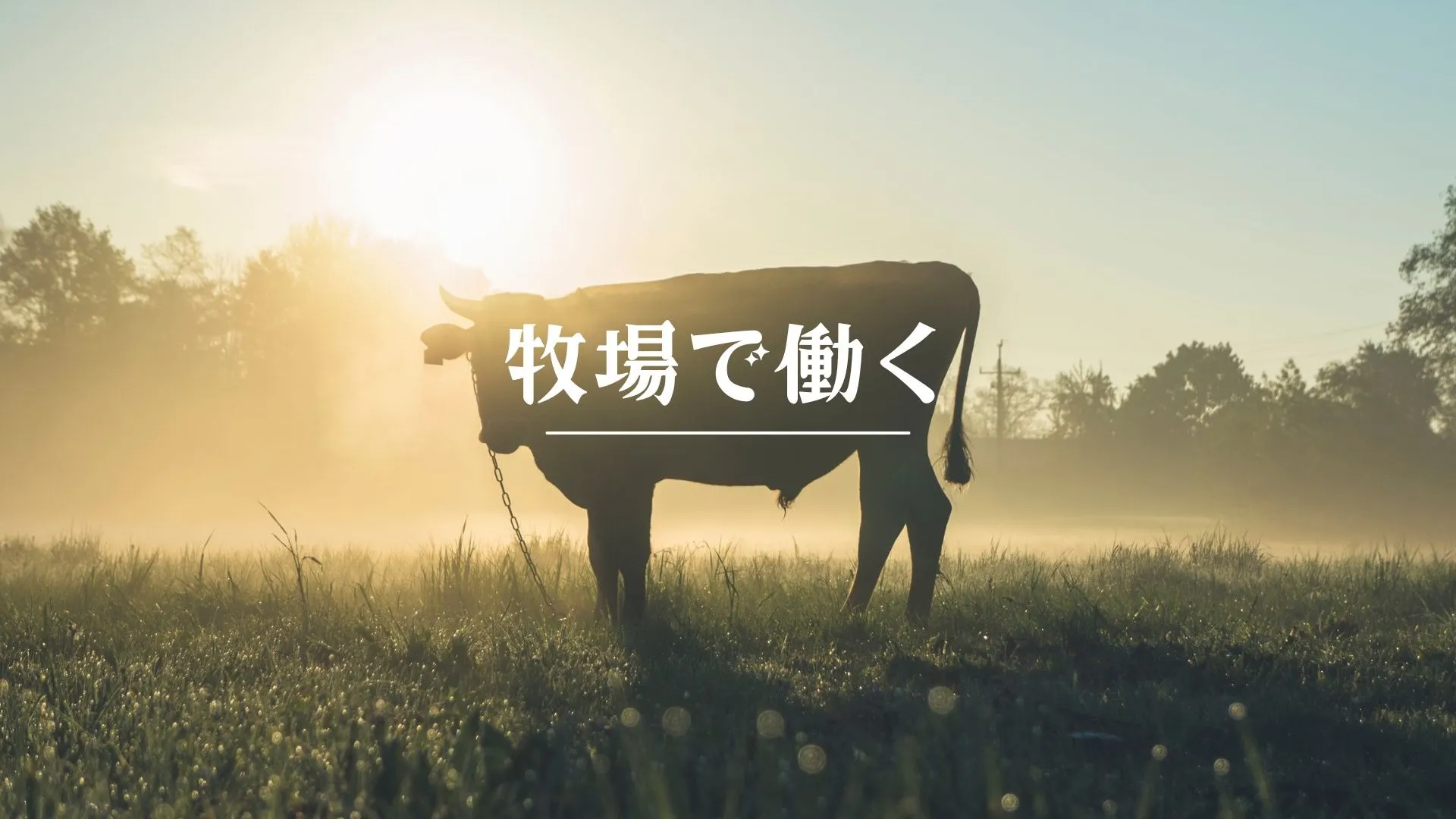 大自然に囲まれた十勝で牧場求人特集！〜青空の下で心地よく働く〜