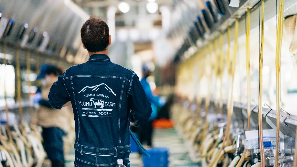 十勝・新得町のギガファームで働く牧場スタッフ募集【年間休日108日／個室寮あり】